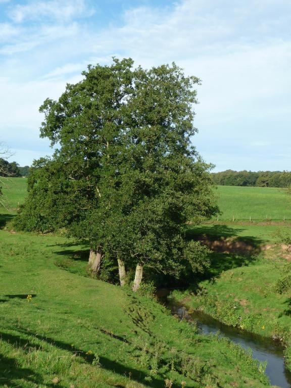 Birtles Farm Bed And Breakfast Knutsford Buitenkant foto